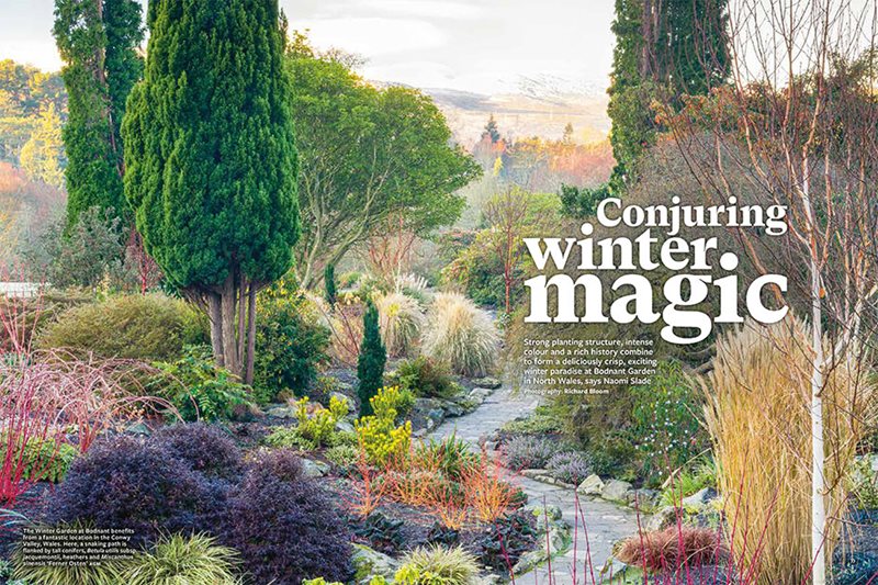 Magazine feature about Bodnant