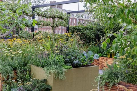 The Parsley Box Garden
