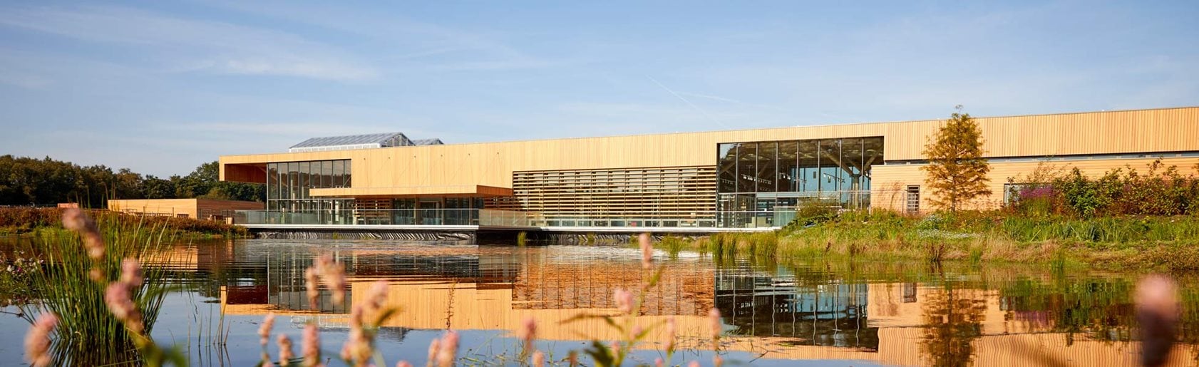 photograph of the garden