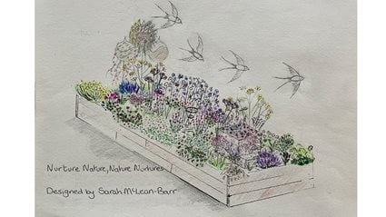 Nurture Nature&nbsp;&ndash; Nature Nurtures