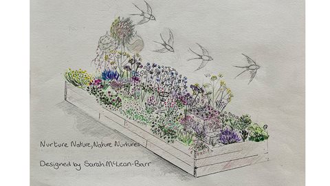 Nurture Nature – Nature Nurtures