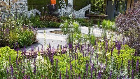 The communal part of the garden with easy to maintain ornamental plants which are also attractive to pollinators and wildlife