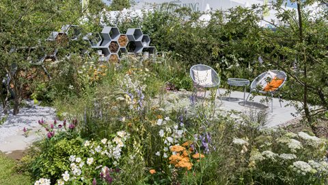 A design that fuses naturalistic planting in pops of colour with contemporary pollinator-inspired walls and paving