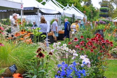 Visitors explore stands and vibrant floral displays at RHS Wisley Flower Show