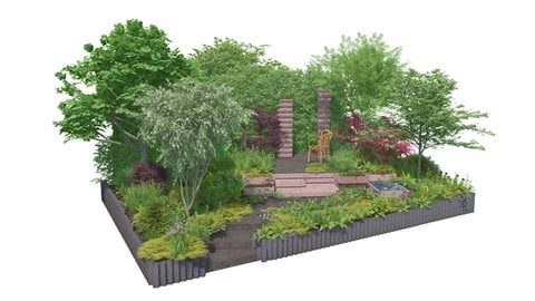 The Plant Heritage Missing Collector Garden