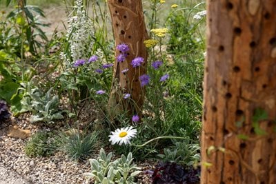Bee posts woven into garden design