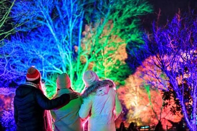 Glow winter illuminations at RHS Garden