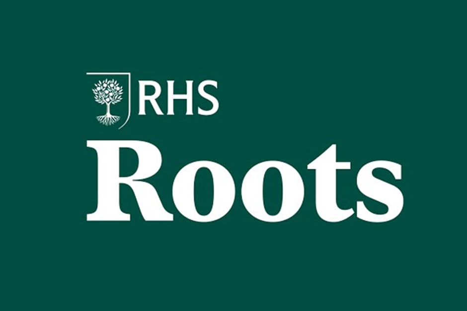 Now Rhs RHS Roots / RHS