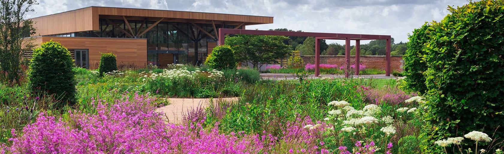 photograph of the garden