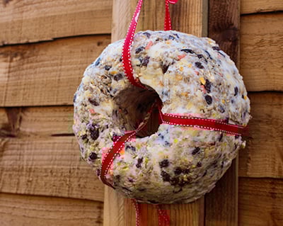 Homemade bird feeder