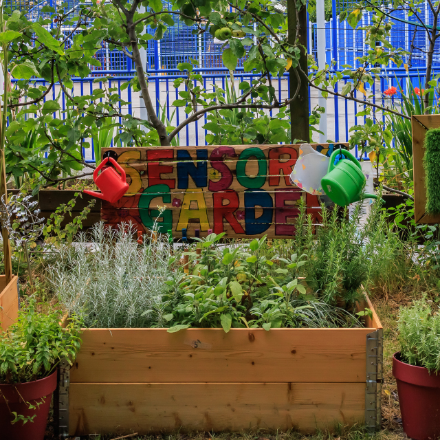 School sensory garden