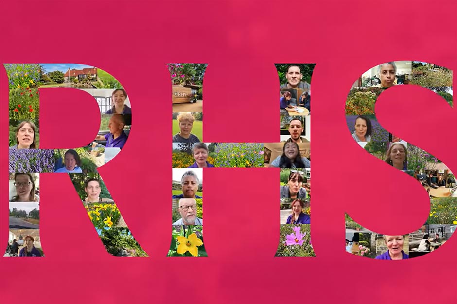 Diversity, inclusion and wellbeing