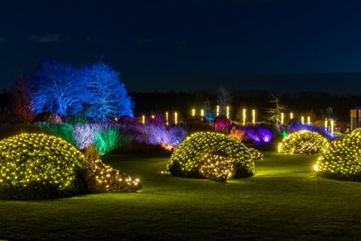 The gardens at RHS Bridgewater lit up for the Glow illuminations