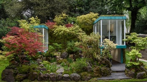 A living space – including a shower room and an office – overlooks a series of waterfalls tumbling into a superbly detailed moss-covered rock pool, with purple irises rising up from the water