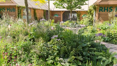Every inch of this therapeutic garden has been thoughtfully designed resulting in a beautiful and delightful space to walk through and the perfect place to recharge the emotional batteries.
