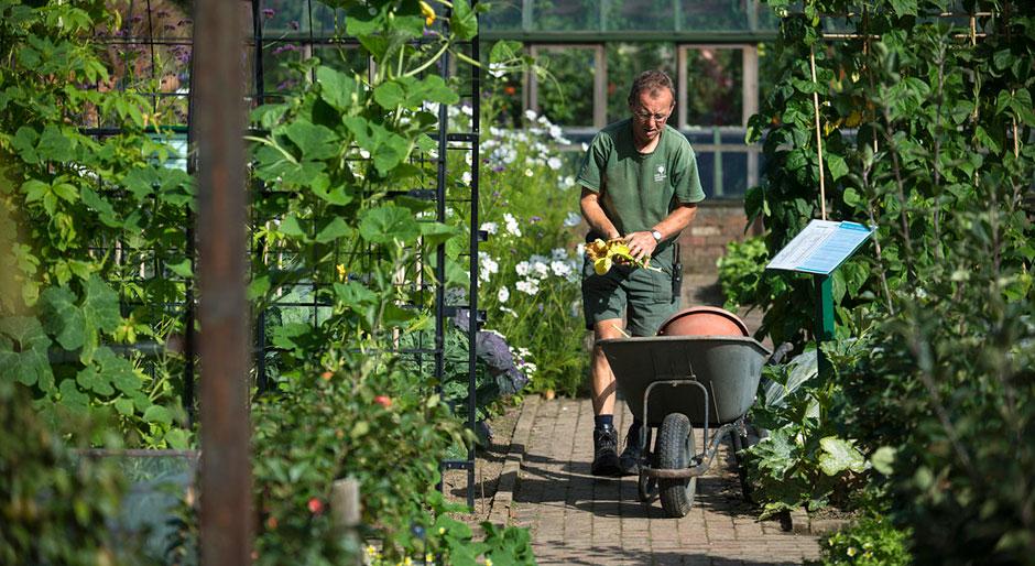 ... - Fylde, Wyre, Preston, Ormskirk and Wigan areas Gardening Services Horticultural qualifications & training