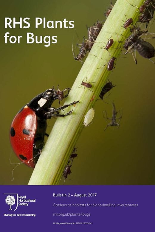 RHS Plants for Bugs - Bulletin 2 (opens in a new window)