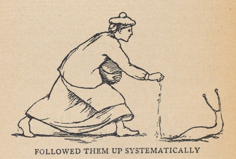 Drawings by women gardeners featured in the book