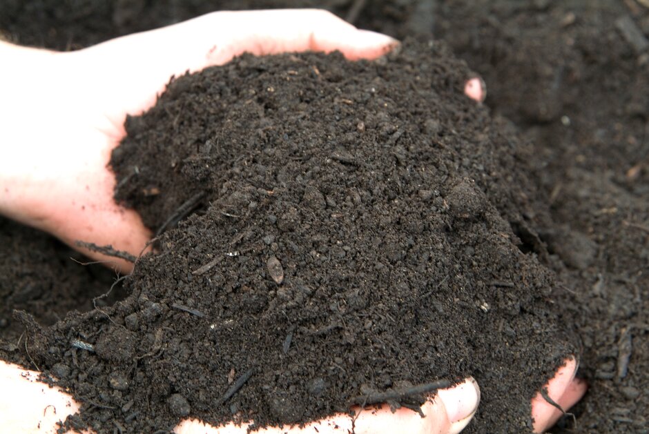 How to reuse old compost, Gardening advice