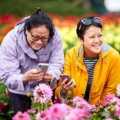 Taking fun photos at RHS Flower Show Tatton Park