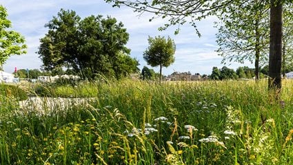 The Julia Rausing Garden