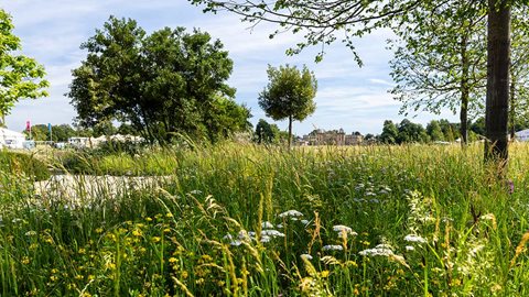 The Julia Rausing Garden