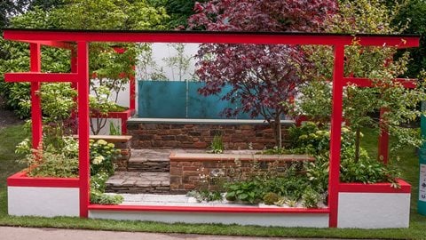 The oriental feel of this garden is clear from first glance with its red painted woodwork, Japanese maples and restrained use of plants including bamboo and hostas.
