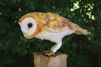 Solstice owl sculpture by Jamie Lord