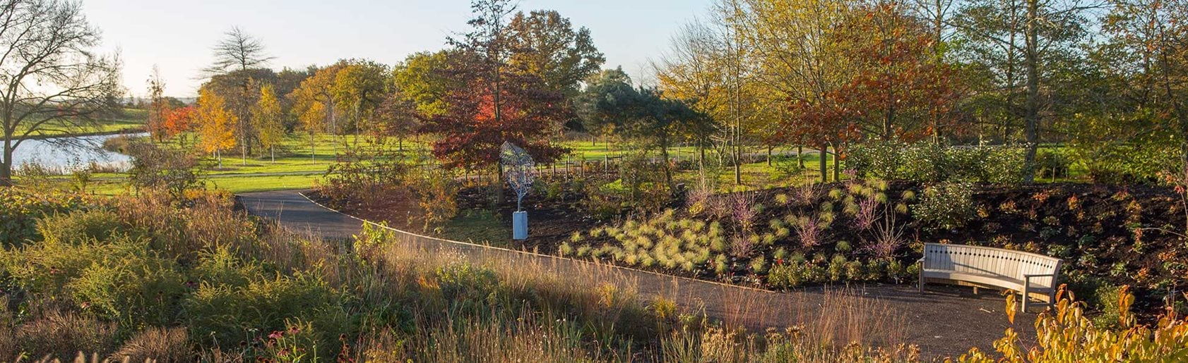 photograph of the garden
