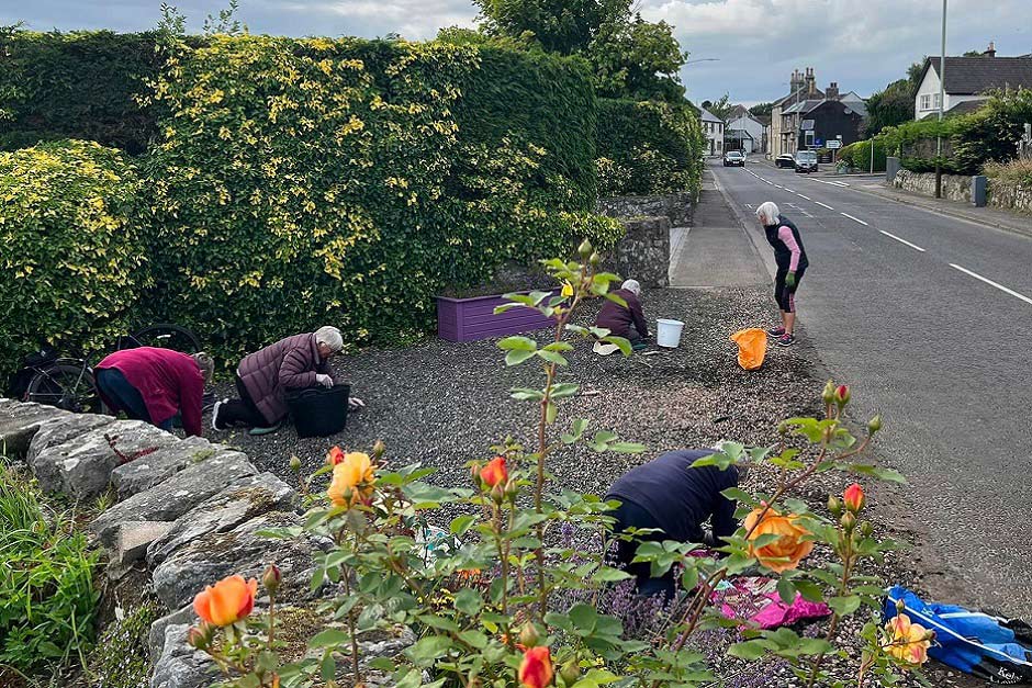 Volunteers from Kinnesswood in Bloom working hard in the rose garden