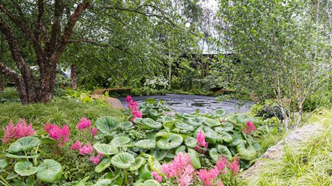 Lush green planting surrounds a central pool and seating area