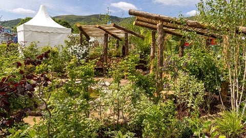 The Crafted Garden – designed for a changing climate