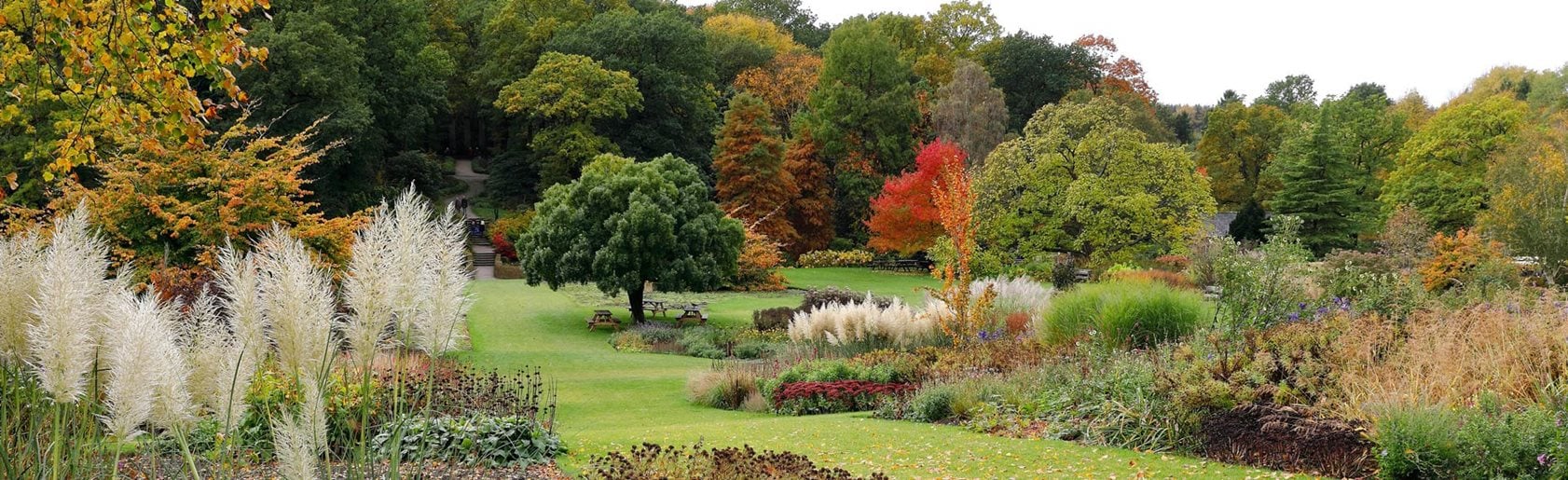 photograph of the garden