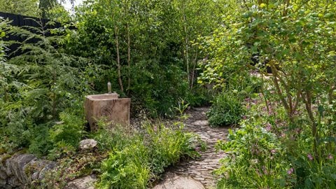 Woodland Trust: Forgotten Forests Garden