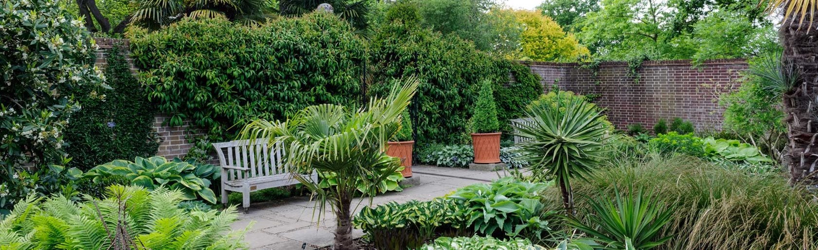 photograph of the garden