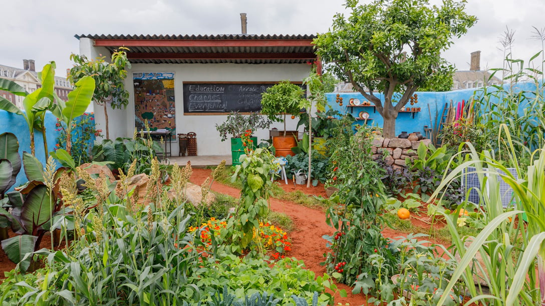 The CAMFED Garden: Giving Girls In Africa a Space to Grow