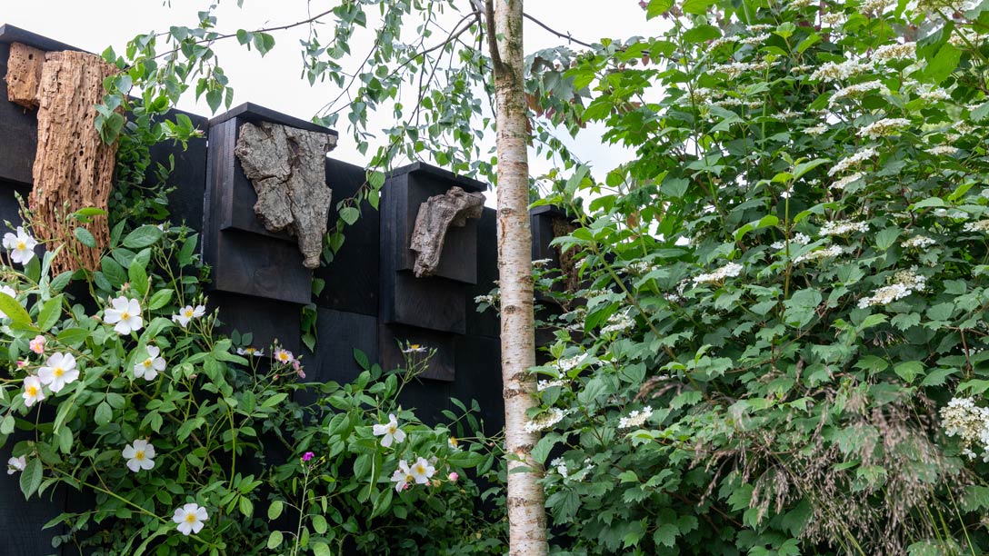 The Bat Conservation Trust’s Nocturnal Garden