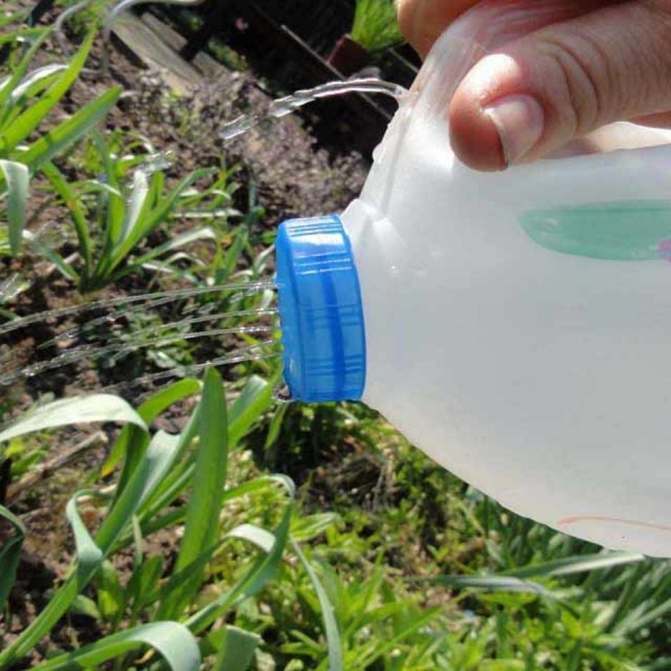 Milk bottle watering can