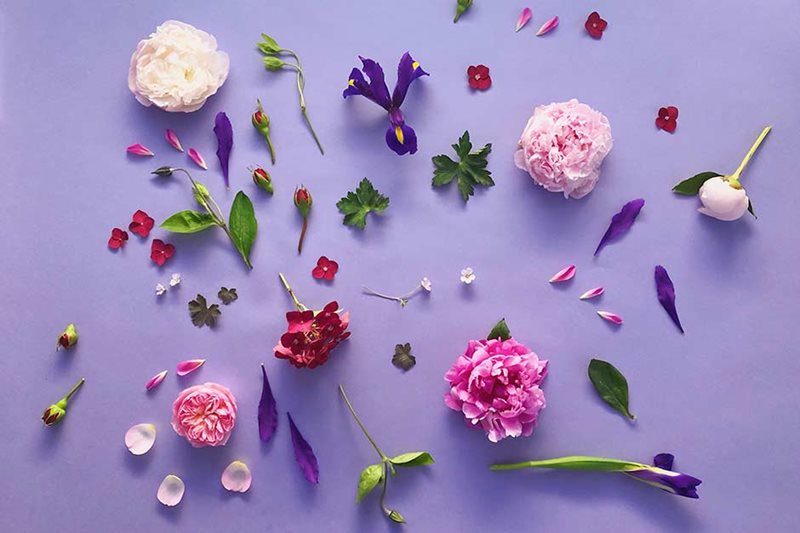 Flowers used in the 2019 RHS Chelsea Flower Show artwork