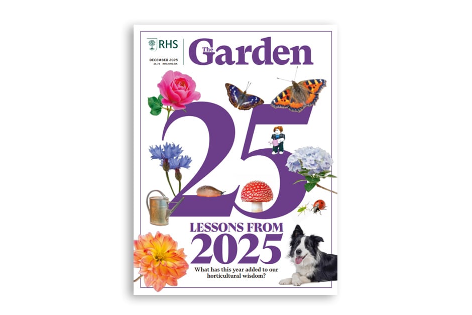 Uncover 25 lessons from 2025 that have enriched your horticultural insight. Trace the origins of Mahonia &times; media &lsquo;Charity&rsquo; back to the influential Sir Eric Savill and an unnamed pollinator. Bring a touch of drama to the festive season with the spectacular hippeastrum. Explore four enthusiasts&rsquo; top choices of nuts to grow at home. Discover a new-build plot on the site of a historic walled garden, now transformed into a chic contemporary space.