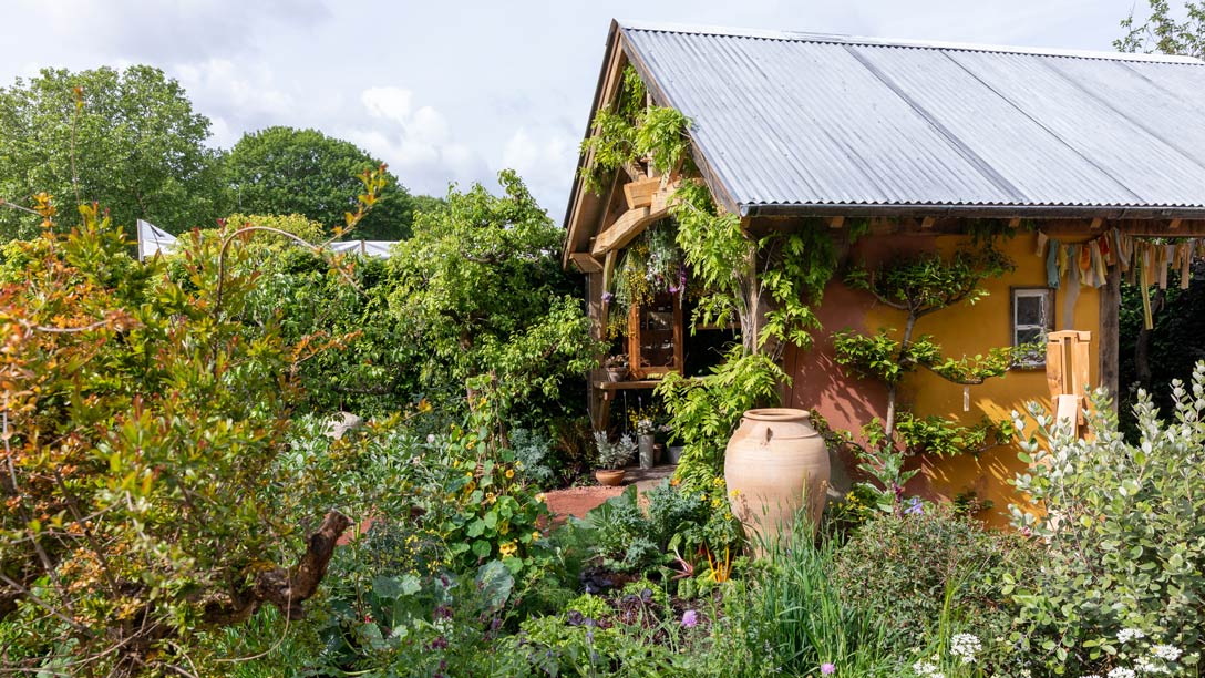 The RHS and The King’s Foundation Curious Garden