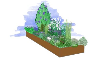 Ladywell Physic Garden