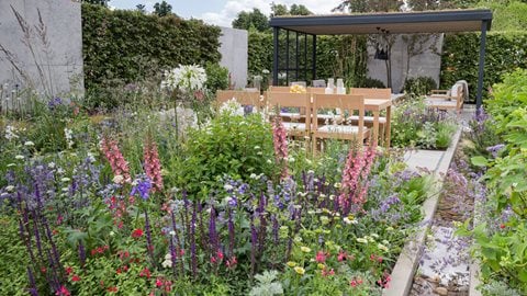 A relaxed and tranquil space, perfect for entertaining is surrounded by a mass of pollinator-friendly planting, providing the ideal place for people and wildlife to thrive in harmony