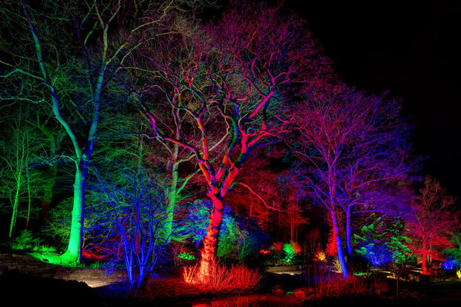 Glow Winter Illuminations at RHS Garden Harlow Carr Fun, family days
