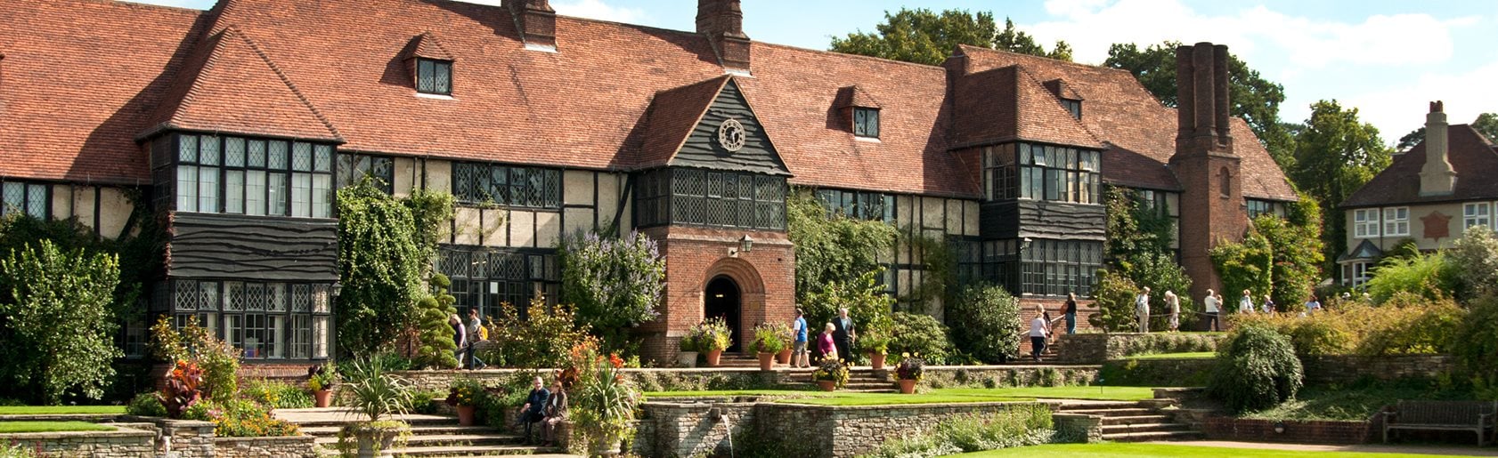 photograph of the garden