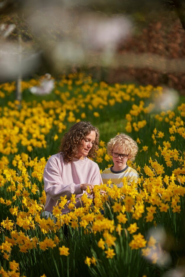 Family in daffodils