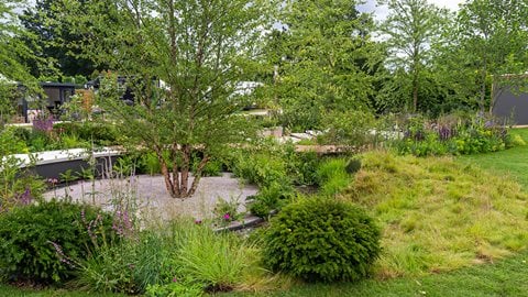With its cool, calm planting scheme shaped around a meandering figure of eight, this garden invites contemplation and restoration through its seating areas and softly flowing rill