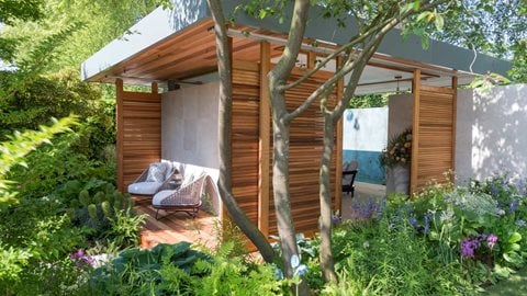 Woody plants abound throughout the garden, giving a feeling of maturity, height and interest, with acid-loving woodland plants below leading the visitor to the wood pavilion beyond.