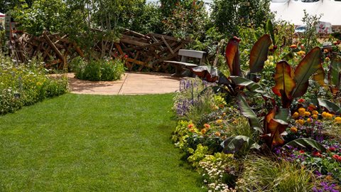 RHS Britain in Bloom 60th Anniversary: Gardening for People and Planet