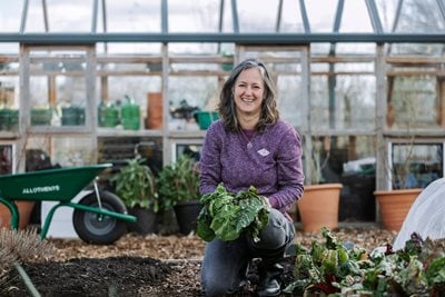 Growing veg at RHS Wisley community allotments